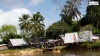 L'extraordinaire biodiversité du Parc Amazonien de Guyane