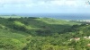 Tak-Tak, la Martinique solidaire (Vidéo)