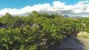 Le label Mauritius Boutique Hotel accueille de nouveaux adhérents (Vidéo)