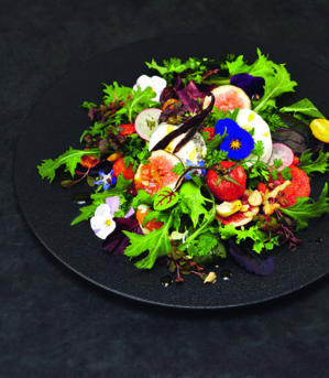 Salade de chèvre et figue - © Mövenpick Salade de chèvre et figue - © Mövenpick