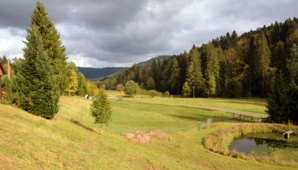 Paysage de la Foret Noire à Baiersbronn - © D. Raynal Paysage de la Foret Noire à Baiersbronn - © D. Raynal