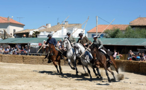 © Les Chevaux du Sud © Les Chevaux du Sud