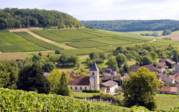 La Route du Champagne en Fête pétille dans l'Aube