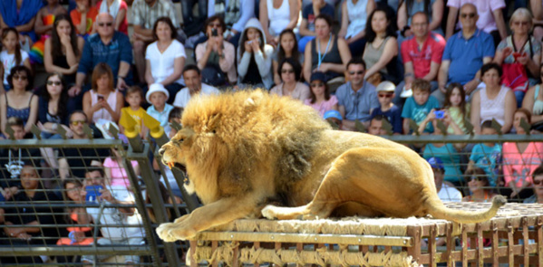 Le Puy du Fou fête 40 ans de succès