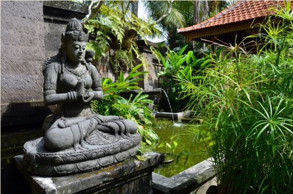 © D. Raynal © D. Raynal