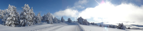 Bons plans glisse dans les Pyrénées