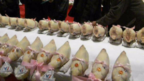 © H. Gouleret © H. Gouleret