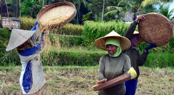 La France reste fidèle à Bali