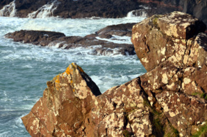 La spectaculaire Chaussée des Géants - D. Raynal La spectaculaire Chaussée des Géants - D. Raynal