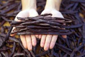 © Tahiti Tourisme © Tahiti Tourisme