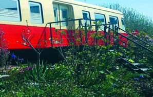 Les Gîtes du Picasso, dans le Morbihan Les Gîtes du Picasso, dans le Morbihan