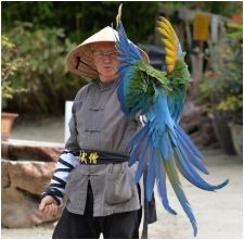 Tropical parc de St Jacut-les-Pins dans le Morbihan