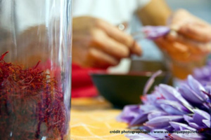 Avec Mon Beau Terroir visitez fermes et domaines viticoles Avec Mon Beau Terroir visitez fermes et domaines viticoles