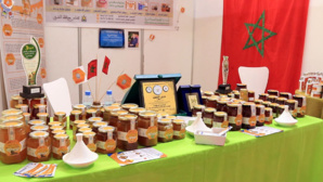 Ouarzazate valorise le terroir de la région par l'écotourisme Ouarzazate valorise le terroir de la région par l'écotourisme