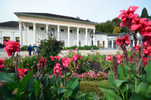 © D.Raynal © D.Raynal