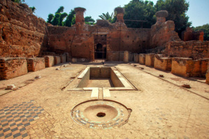 © D. Marché © D. Marché