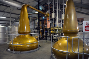 © D. Raynal © D. Raynal