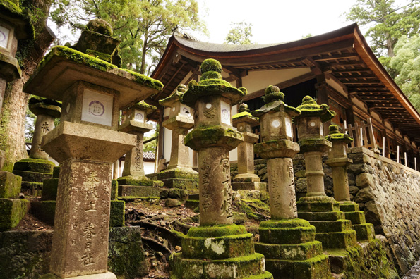 Shinto kasuga - Nara - @ pixabay