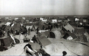 Camp d’Argelès-sur-Mer - © DR Camp d’Argelès-sur-Mer - © DR