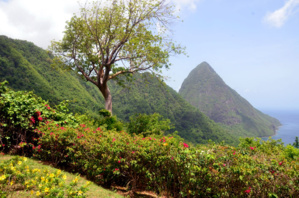 Vue imprenable sur les pitons au Ladera Resort© D. Raynal Vue imprenable sur les pitons au Ladera Resort© D. Raynal