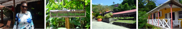 Foux Doux Holiday Plantation - © D. Raynal