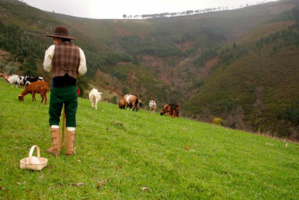 Berger dans les montagnes © Bruno_Ramos Berger dans les montagnes © Bruno_Ramos