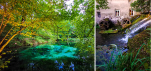 © Dominique Marché © Dominique Marché