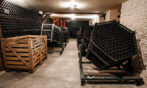 © Dominique Marché © Dominique Marché