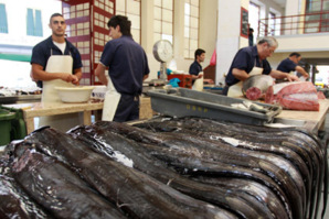 Banc de sabres noirs sur les étals du marché des Laboureurs à Funchal© D.Raynal
