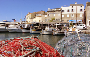 St Florent - © David Raynal