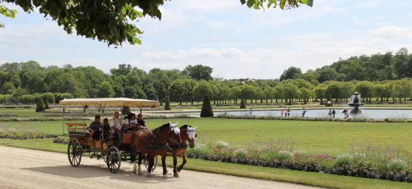 Château de Fontainebleau, voyage en monarchie majeure !