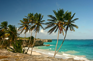 La Barbade, île paradisiaque 
