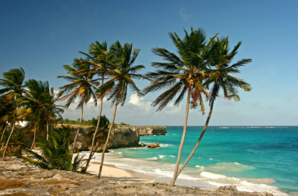 La Barbade, île paradisiaque "so british" ! (Vidéo) La Barbade, île paradisiaque "so british" ! (Vidéo)