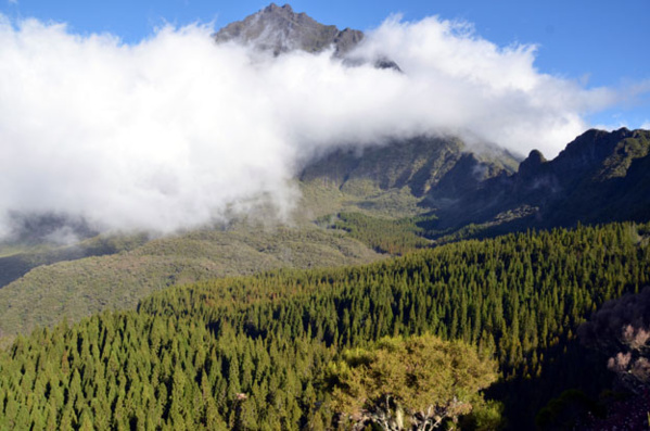 Depuis 10 ans les « pitons, cirques et remparts » de La Réunion sont à l’Unesco.