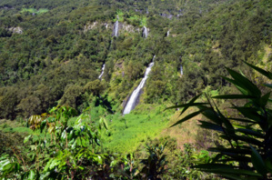 Depuis 10 ans les « pitons, cirques et remparts » de La Réunion sont à l’Unesco.