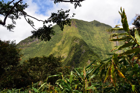 Depuis 10 ans les « pitons, cirques et remparts » de La Réunion sont à l’Unesco.
