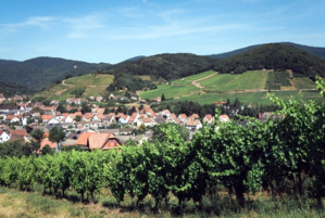 Andlau - © Art Ge Andlau - © Art Ge