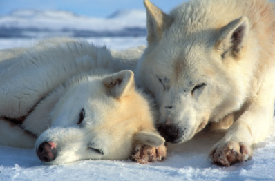 © Bjørn Klauer © Bjørn Klauer