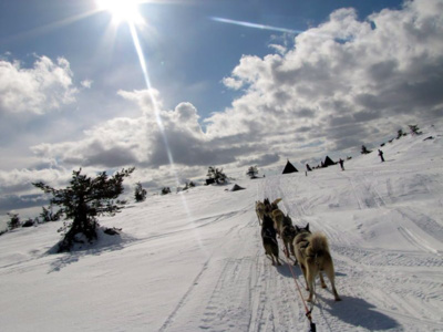 En dehors du ski alpin, créez-vous aux Carroz d’incroyables souvenirs au détour de nombreuses activités : fatbike électrique, luge sur rails, conduite d’attelage de chiens de traîneaux, luge en bande, parapente, patinoire, pisicne à l'Aquacîme © OT Les Carroz