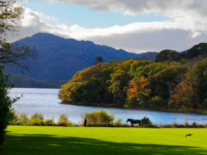 Le 17 mars est férié en Irlande depuis 1903, date anniversaire de la mort de saint Patrick © Tourismeireland