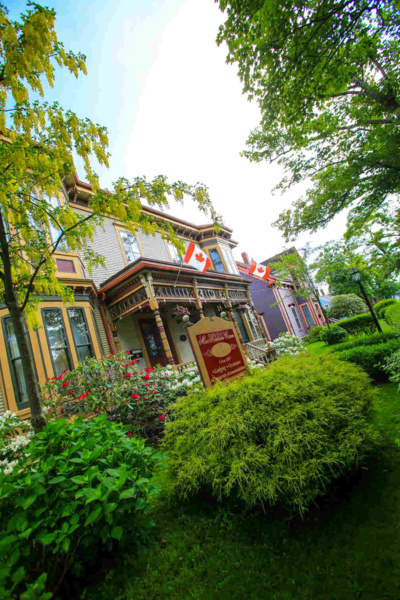 © Dominique Marché © Dominique Marché