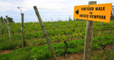 © Dominique Marché © Dominique Marché