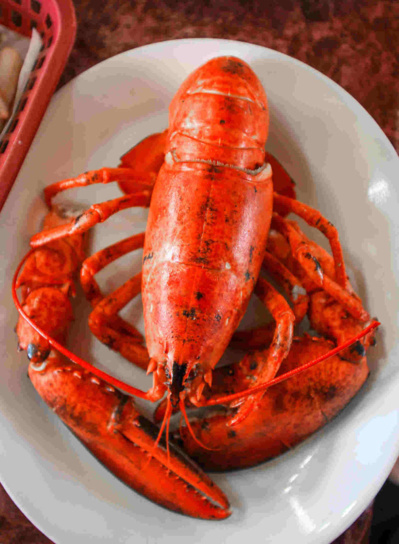 © Dominique Marché © Dominique Marché