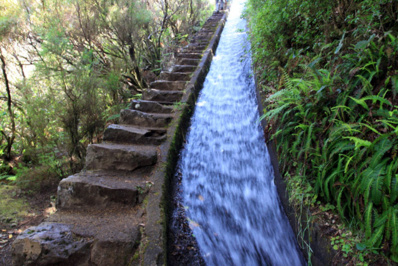 Les levadas sont un réseau extraordinaire de parcours pédestres - © David Raynal Les levadas sont un réseau extraordinaire de parcours pédestres - © David Raynal