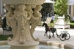 La fontaine aux Amours