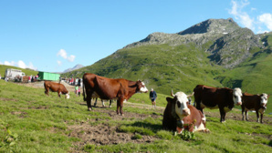 Dans les alpages - OT de St Sorlin