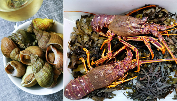 La Manche, entre terre et mer…  Un terroir, une gastronomie unique