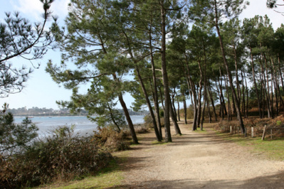 La côte sauvage au bord du golfe du Morbihan près de Vannes - © D. Raynal