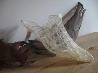 Chaussure par Véronique Zimmerman Chaussure par Véronique Zimmerman