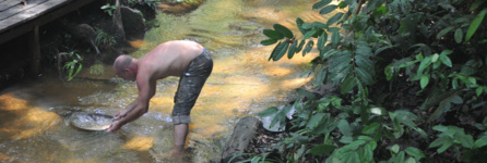 Nature préservée dans les marais de Kaw-Roura, en Guyane (Vidéo)